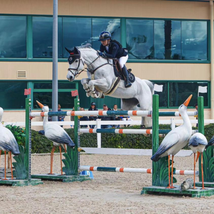 微信圖片_20240502111517.png 微信圖片_20240502111517.png